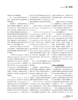 投资与合作2019年4月第4期