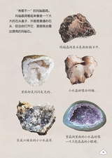 幼儿100·认知版2025年3月第3期