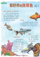 幼儿100·认知版2025年3月第3期