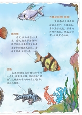 幼儿100·认知版2025年3月第3期