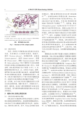 生物技术通报2025年7月第7期