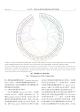 生物技术通报2025年7月第7期