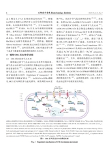 生物技术通报2025年7月第7期