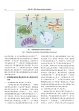 生物技术通报2025年7月第7期