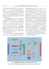 生物技术通报2025年7月第7期