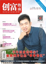 创富指南 2015年12月第12期