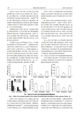 中国油脂2025年10月第10期
