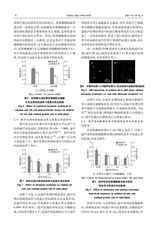 中国油脂2025年9月第9期