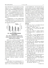 中国油脂2025年9月第9期