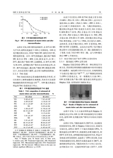中国油脂2025年7月第7期