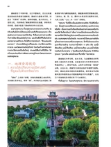 孔子学院·中泰文对照版2025年5月第3期