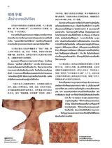 孔子学院·中泰文对照版2025年5月第3期