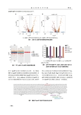 遵义医科大学学报2025年10月第10期