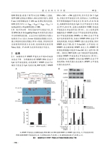 遵义医科大学学报2025年10月第10期