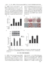 遵义医科大学学报2025年10月第10期