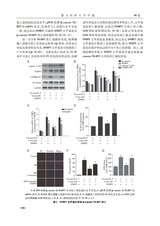 遵义医科大学学报2025年10月第10期