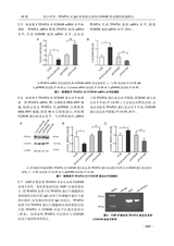 遵义医科大学学报2025年10月第10期