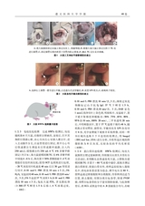 遵义医科大学学报2025年10月第10期