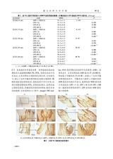 遵义医科大学学报2025年10月第10期