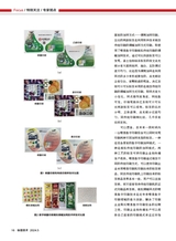 标签技术2024年10月第5期