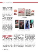 标签技术2024年10月第5期