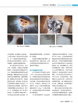 标签技术2024年8月第4期