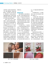 标签技术2024年8月第4期