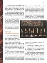 孔子学院·中葡文对照版2025年5月第3期