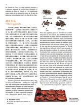 孔子学院·中葡文对照版2025年5月第3期