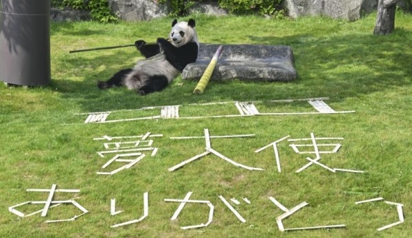 中国报道