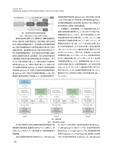 丝绸2025年9月第9期