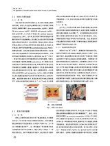 丝绸2025年9月第9期