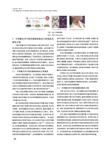 丝绸2025年9月第9期