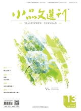 小品文选刊2025年7月第7期