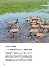 科学大众·中学生2025年7-8期合刊