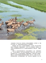 科学大众·中学生2025年7-8期合刊