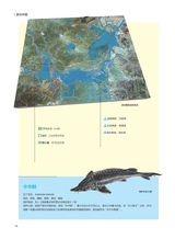 科学大众·中学生2025年7-8期合刊