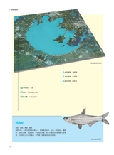 科学大众·中学生2025年7-8期合刊