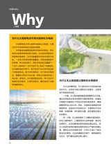 科学大众·中学生2025年7-8期合刊