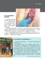 科学大众·中学生2025年7-8期合刊