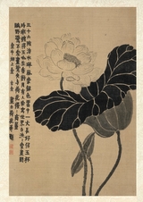 书法2025年6月第6期