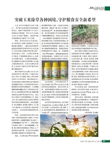 农药市场信息2025年5月第9期