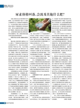 农药市场信息2025年5月第9期