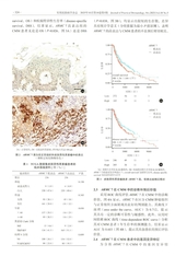 实用皮肤病学杂志 2025年10月第5期