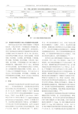 实用皮肤病学杂志 2025年10月第5期