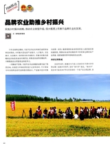 中国经济信息2019年2月第4期