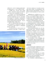 中国经济信息2019年2月第4期