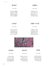 当代作家2024年8月第8期