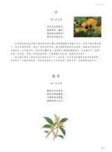 当代作家2024年8月第8期