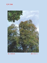 基础教育（教学）2025年11月第11期